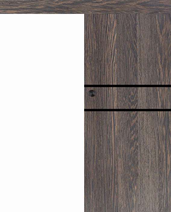 Posuvné dveře na stěnu VASCO Doors - REGO 2