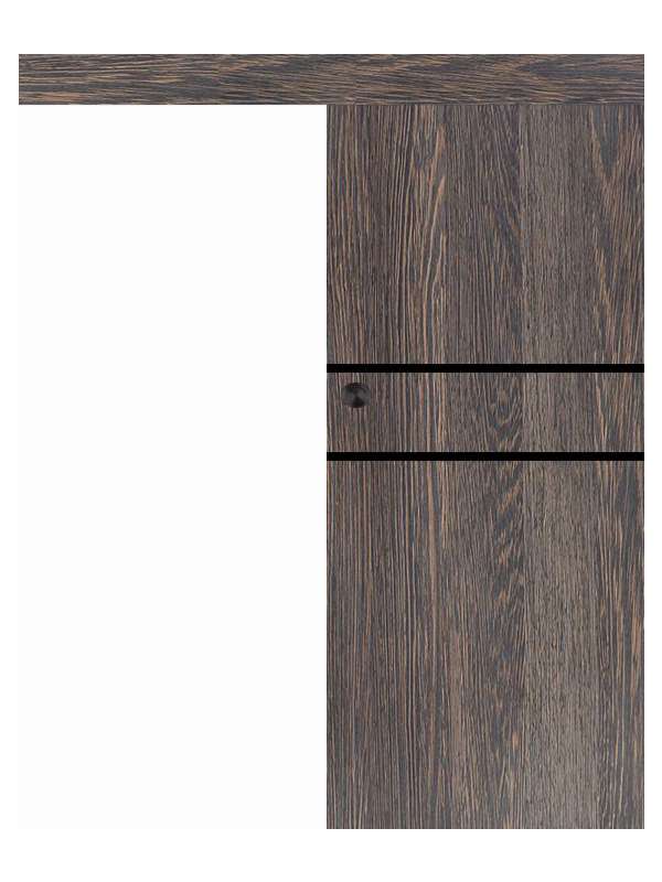 Posuvné dveře na stěnu VASCO Doors - REGO 2