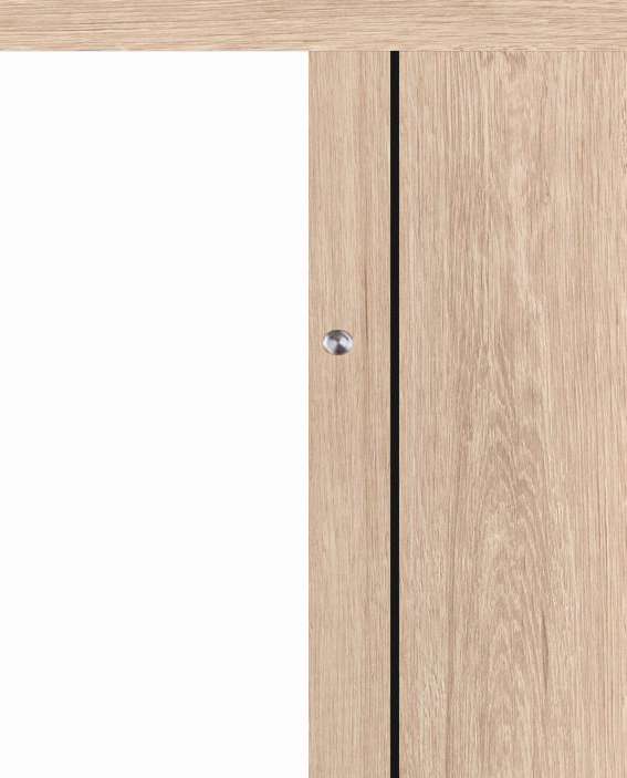 Posuvné dveře na stěnu VASCO Doors - REGO 3